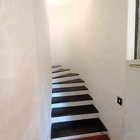 Nuova Valmar Alba
